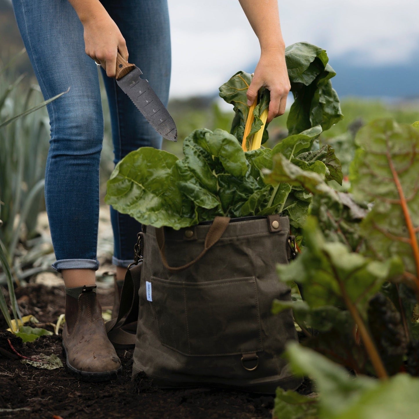 The Backyard Bag